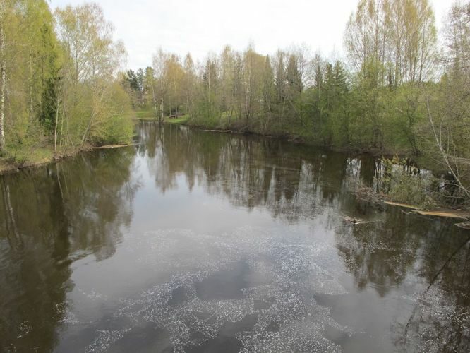 Maakond: Põlvamaa Veekogu nimi: Võhandu jõgi Pildistamise aeg: 3. mai 2011 Pildistaja: H. Timm Pildistamise koht: Räpina Asimuut: