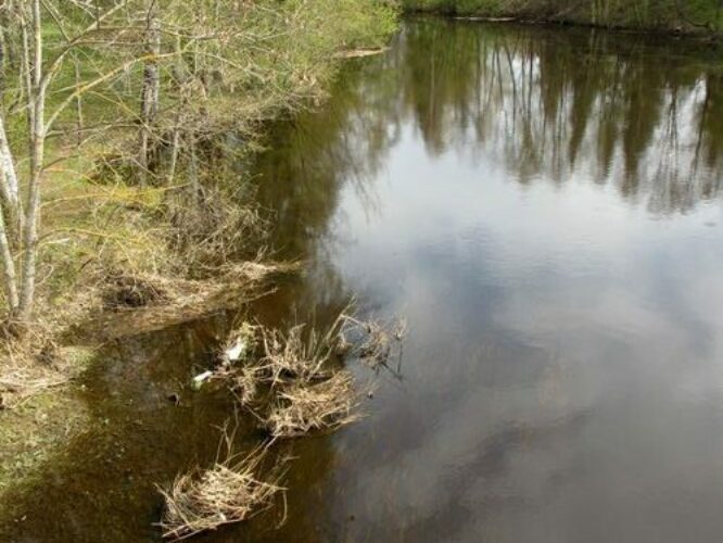 Maakond: Põlvamaa Veekogu nimi: Võhandu jõgi Pildistamise aeg: 3. mai 2011 Pildistaja: H. Timm Pildistamise koht: Räpina Asimuut: