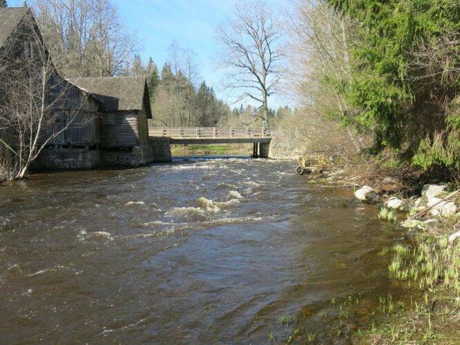 Maakond: Põlvamaa Veekogu nimi: Võhandu jõgi Pildistamise aeg: 8. mai 2013 Pildistaja: H. Timm Pildistamise koht: Süvahavva Asimuut: