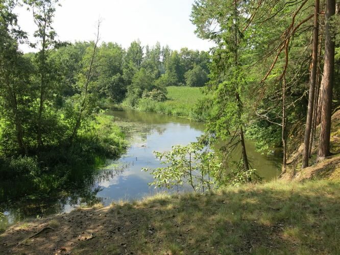 Maakond: Põlvamaa Veekogu nimi: Võhandu jõgi Pildistamise aeg: 2. august 2013 Pildistaja: H. Timm Pildistamise koht: Toolamaa, Kaljupealse Asimuut: