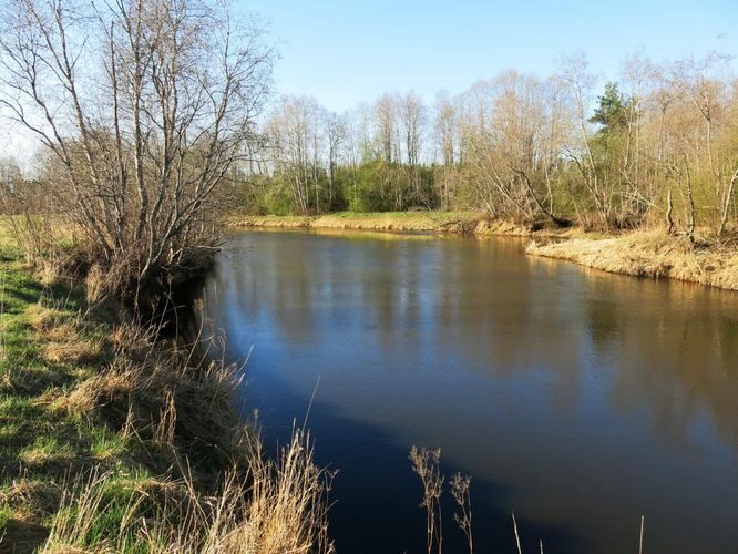 Maakond: Põlvamaa Veekogu nimi: Võhandu jõgi Pildistamise aeg: 23. aprill 2014 Pildistaja: H. Timm Pildistamise koht: Ristipalo Asimuut: