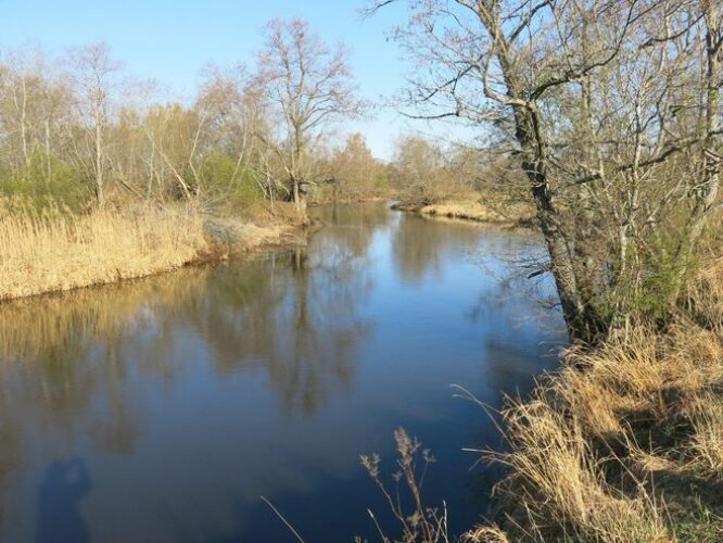 Maakond: Põlvamaa Veekogu nimi: Võhandu jõgi Pildistamise aeg: 23. aprill 2014 Pildistaja: H. Timm Pildistamise koht: Ristipalo Asimuut: