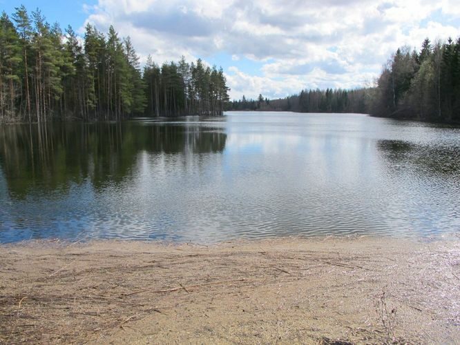 Maakond: Lääne-Virumaa Veekogu nimi: Võhmetu järv Pildistamise aeg: 2. mai 2010 Pildistaja: H. Timm Pildistamise koht: teadmata Asimuut: