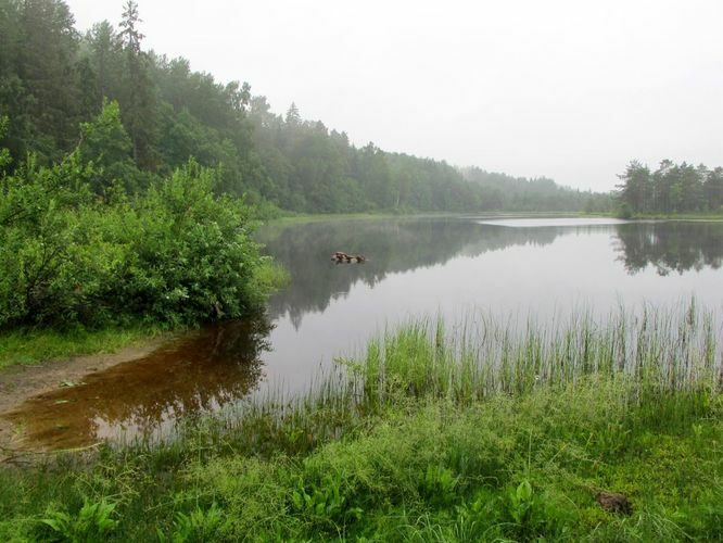 Maakond: Lääne-Virumaa Veekogu nimi: Vohnja Kõverjärv Pildistamise aeg: 15. juuli 2011 Pildistaja: H. Timm Pildistamise koht: teadmata Asimuut: