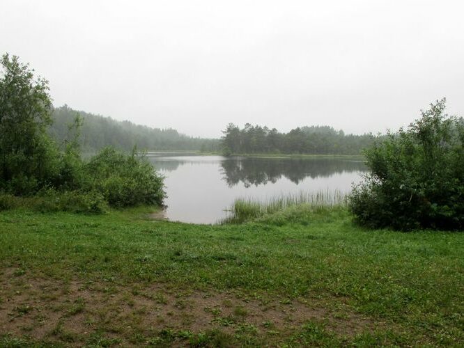 Maakond: Lääne-Virumaa Veekogu nimi: Vohnja Kõverjärv Pildistamise aeg: 15. juuli 2011 Pildistaja: H. Timm Pildistamise koht: teadmata Asimuut: