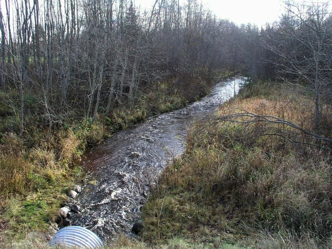 Maakond: Jõgevamaa Veekogu nimi: Võisiku peakraav Pildistamise aeg: 2. november 2008 Pildistaja: H. Timm Pildistamise koht: Põltsamaa-Võhma teelt Asimuut: