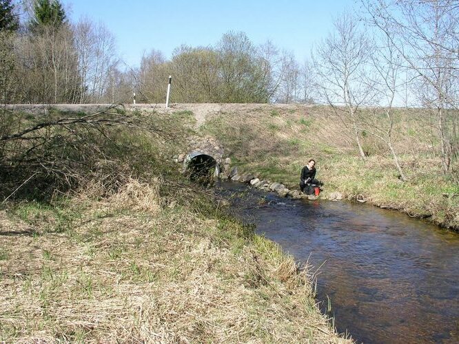 Maakond: Jõgevamaa Veekogu nimi: Võisiku peakraav Pildistamise aeg: 30. juuli 2009 Pildistaja: H. Timm Pildistamise koht: Esku Asimuut: