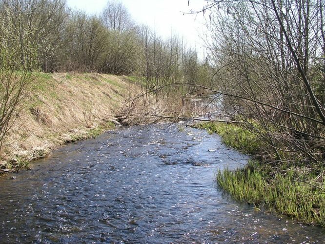 Maakond: Jõgevamaa Veekogu nimi: Võisiku peakraav Pildistamise aeg: 30. juuli 2009 Pildistaja: H. Timm Pildistamise koht: Võisiku paisjärv Asimuut: