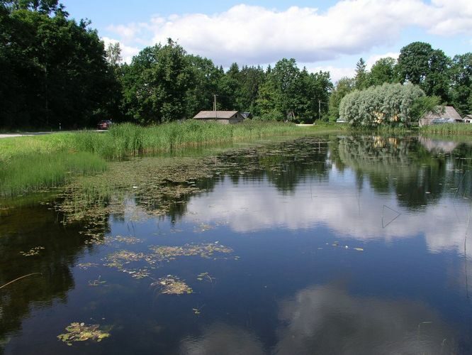 Maakond: Jõgevamaa Veekogu nimi: Võisiku peakraav Pildistamise aeg: 30. juuli 2009 Pildistaja: H. Timm Pildistamise koht: Võisiku paisjärv Asimuut: