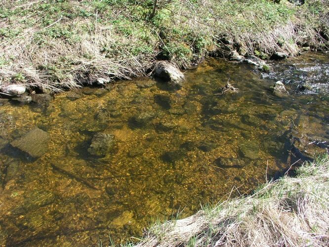 Maakond: Jõgevamaa Veekogu nimi: Võisiku peakraav Pildistamise aeg: 30. juuli 2009 Pildistaja: H. Timm Pildistamise koht: Esku Asimuut: