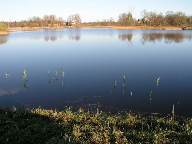 Maakond: Jõgevamaa Veekogu nimi: Võisiku paisjärv Pildistamise aeg: 2. november 2008 Pildistaja: H. Timm Pildistamise koht: teadmata Asimuut: