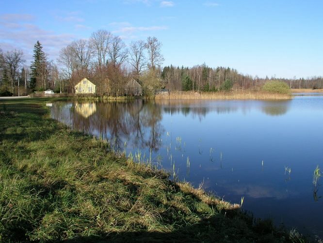 Maakond: Jõgevamaa Veekogu nimi: Võisiku paisjärv Pildistamise aeg: 2. november 2008 Pildistaja: H. Timm Pildistamise koht: teadmata Asimuut: