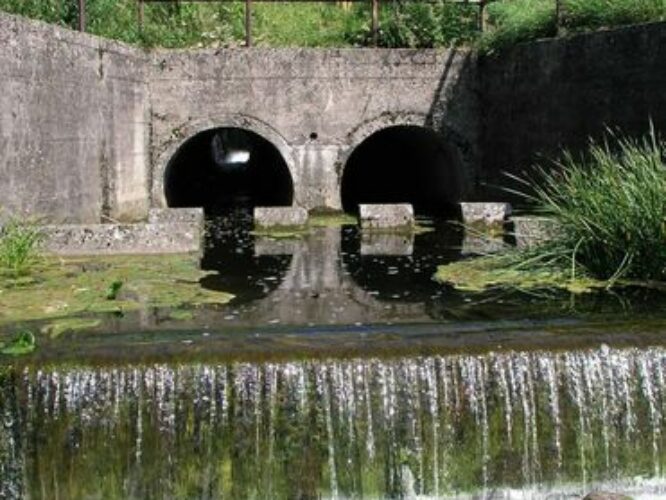 Maakond: Jõgevamaa Veekogu nimi: Võisiku paisjärv Pildistamise aeg: 1. mai 2009 Pildistaja: H. Timm Pildistamise koht: paisu all Asimuut: