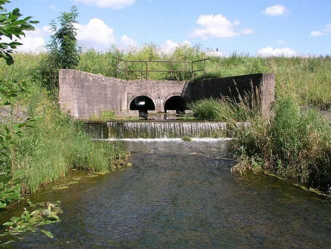 Maakond: Jõgevamaa Veekogu nimi: Võisiku paisjärv Pildistamise aeg: 1. mai 2009 Pildistaja: H. Timm Pildistamise koht: paisu all Asimuut: