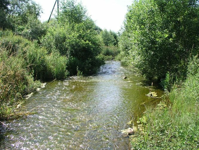 Maakond: Jõgevamaa Veekogu nimi: Võisiku paisjärv Pildistamise aeg: 30. juuli 2009 Pildistaja: H. Timm Pildistamise koht: paisu all Asimuut: