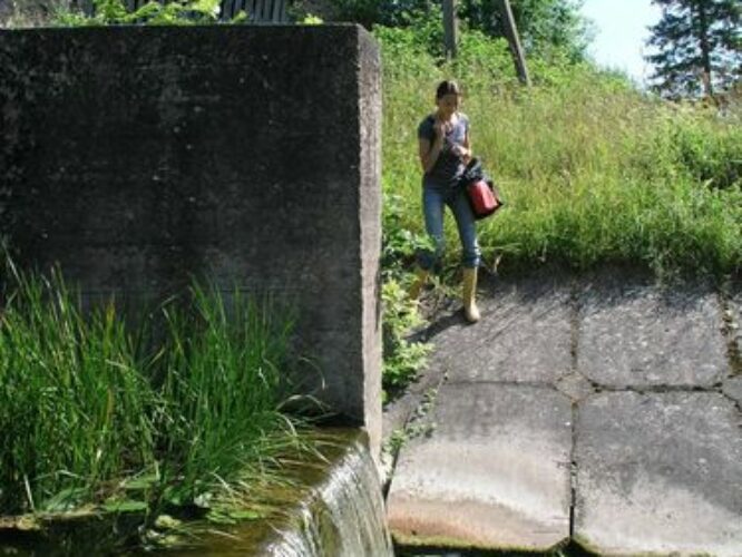 Maakond: Jõgevamaa Veekogu nimi: Võisiku paisjärv Pildistamise aeg: 30. juuli 2009 Pildistaja: H. Timm Pildistamise koht: paisu all Asimuut: