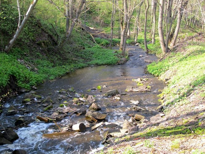 Maakond: Ida-Virumaa Veekogu nimi: Voka jõgi Pildistamise aeg: 12. mai 2010 Pildistaja: H. Timm Pildistamise koht: allpool paisu Asimuut: