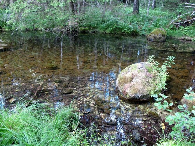 Maakond: Järvamaa Veekogu nimi: Võlingi allikas Pildistamise aeg: 2. juuli 2010 Pildistaja: H. Timm Pildistamise koht: teadmata Asimuut: