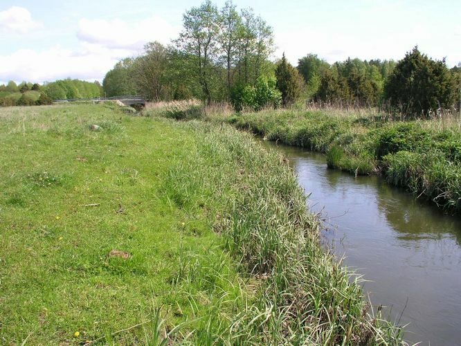 Maakond: Saaremaa Veekogu nimi: Võlupe jõgi Pildistamise aeg: 14. mai 2008 Pildistaja: H. Timm Pildistamise koht: teadmata Asimuut: