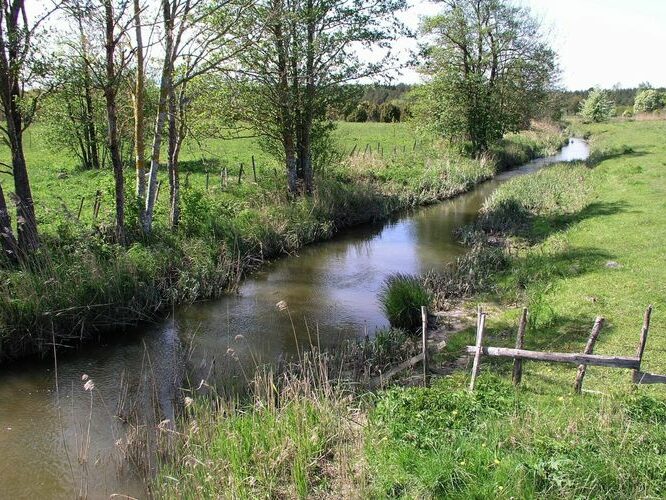 Maakond: Saaremaa Veekogu nimi: Võlupe jõgi Pildistamise aeg: 14. mai 2008 Pildistaja: H. Timm Pildistamise koht: teadmata Asimuut: