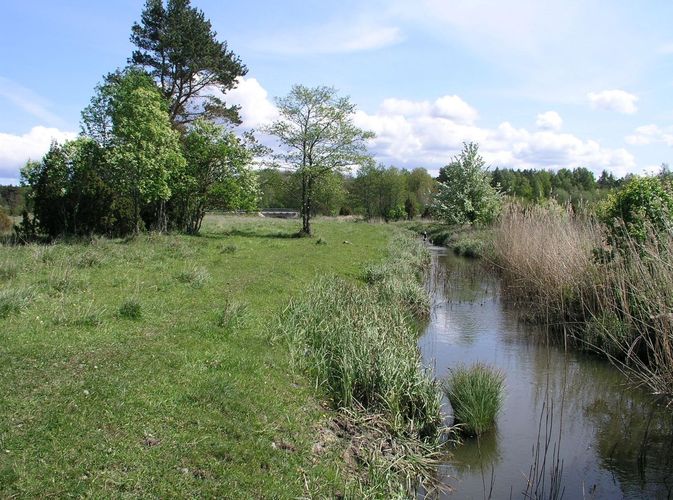 Maakond: Saaremaa Veekogu nimi: Võlupe jõgi Pildistamise aeg: 14. mai 2008 Pildistaja: H. Timm Pildistamise koht: teadmata Asimuut:
