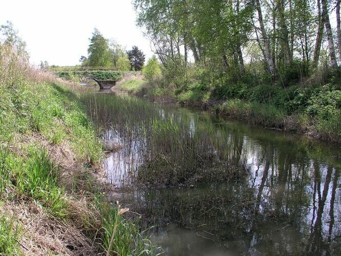 Maakond: Saaremaa Veekogu nimi: Võlupe jõgi Pildistamise aeg: 14. mai 2008 Pildistaja: H. Timm Pildistamise koht: ülemjooks Asimuut: