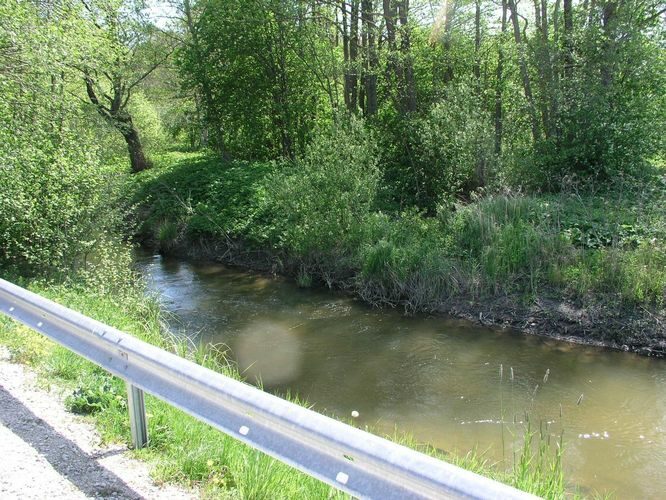 Maakond: Saaremaa Veekogu nimi: Võlupe jõgi Pildistamise aeg: 14. mai 2008 Pildistaja: H. Timm Pildistamise koht: teadmata Asimuut: