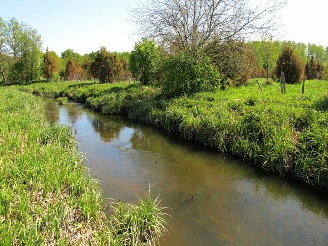 Maakond: Saaremaa Veekogu nimi: Võlupe jõgi Pildistamise aeg: 21. mai 2011 Pildistaja: H. Timm Pildistamise koht: sild alamjooksul Asimuut: