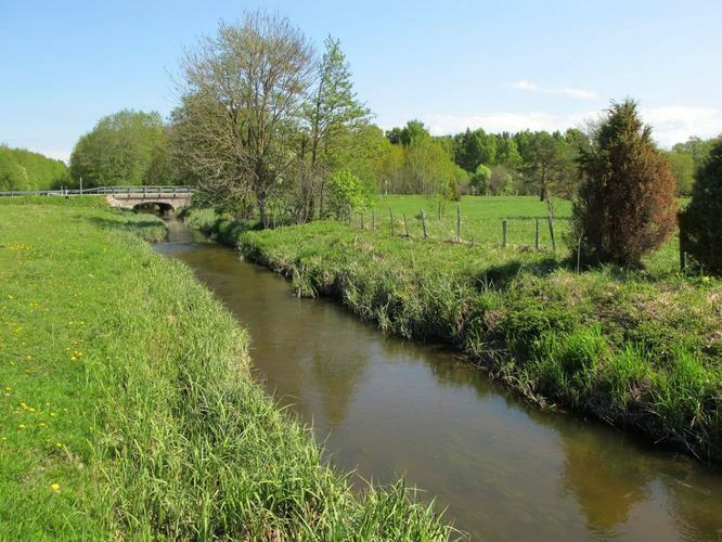 Maakond: Saaremaa Veekogu nimi: Võlupe jõgi Pildistamise aeg: 21. mai 2011 Pildistaja: H. Timm Pildistamise koht: sild alamjooksul Asimuut: