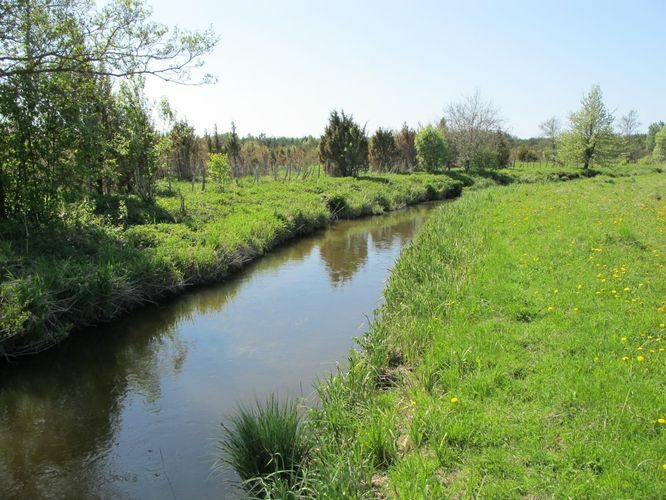 Maakond: Saaremaa Veekogu nimi: Võlupe jõgi Pildistamise aeg: 21. mai 2011 Pildistaja: H. Timm Pildistamise koht: sild alamjooksul Asimuut: