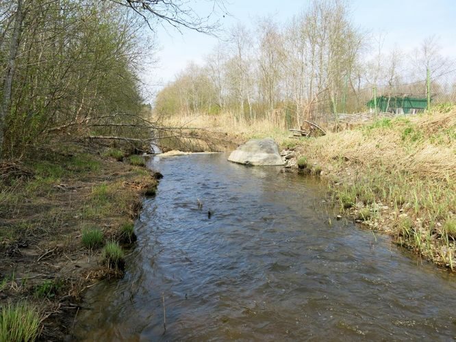 Maakond: Läänemaa Veekogu nimi: Võnnu oja Pildistamise aeg: 11. mai 2013 Pildistaja: H. Timm Pildistamise koht: teadmata Asimuut: