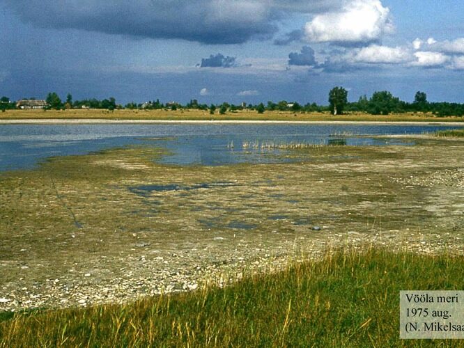 Maakond: Läänemaa Veekogu nimi: Vööla meri Pildistamise aeg: august 1975 Pildistaja: N. Mikelsaar Pildistamise koht: teadmata Asimuut: