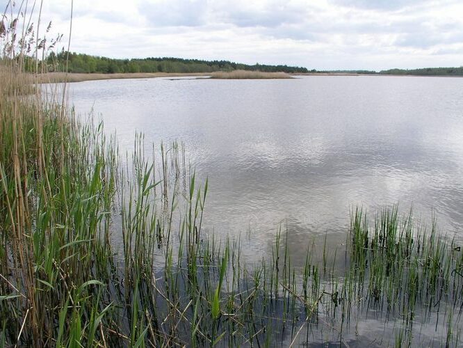 Maakond: Läänemaa Veekogu nimi: Vööla meri Pildistamise aeg: 16. mai 2009 Pildistaja: H. Timm Pildistamise koht: teadmata Asimuut: