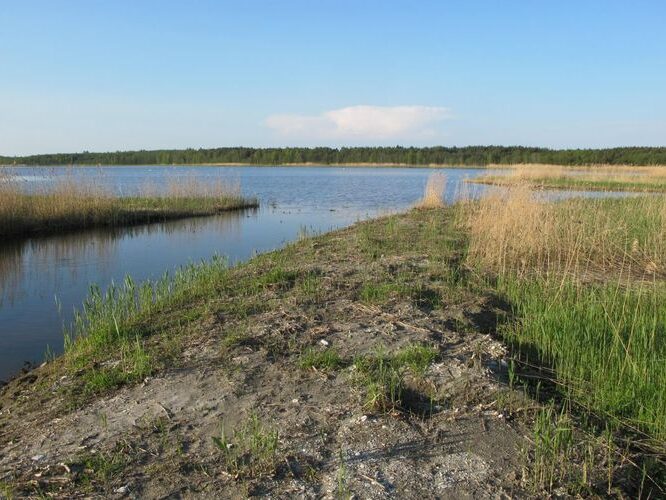 Maakond: Läänemaa Veekogu nimi: Vööla meri Pildistamise aeg: 21. mai 2012 Pildistaja: H. Timm Pildistamise koht: teadmata Asimuut: