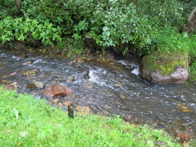 Maakond: Lääne-Virumaa Veekogu nimi: Võsu jõgi Pildistamise aeg: 26. august 2014 Pildistaja: H. Timm Pildistamise koht: Ojaäärse Asimuut: