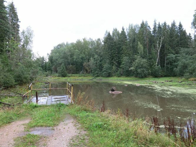 Maakond: Lääne-Virumaa Veekogu nimi: Võsu jõgi Pildistamise aeg: 26. august 2014 Pildistaja: H. Timm Pildistamise koht: Ojaäärse, alumine paisjärv Asimuut: