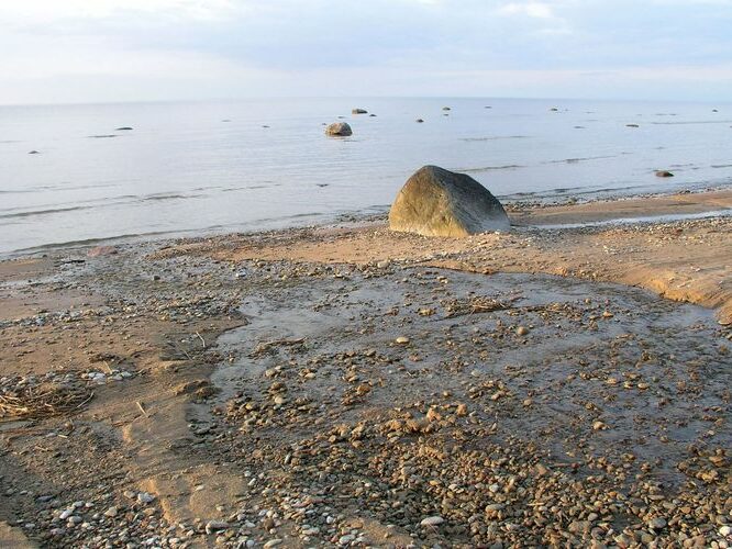 Maakond: Ida-Virumaa Veekogu nimi: nimetu oja Pildistamise aeg: 6. mai 2009 Pildistaja: H. Timm Pildistamise koht: Jabara küla Asimuut: