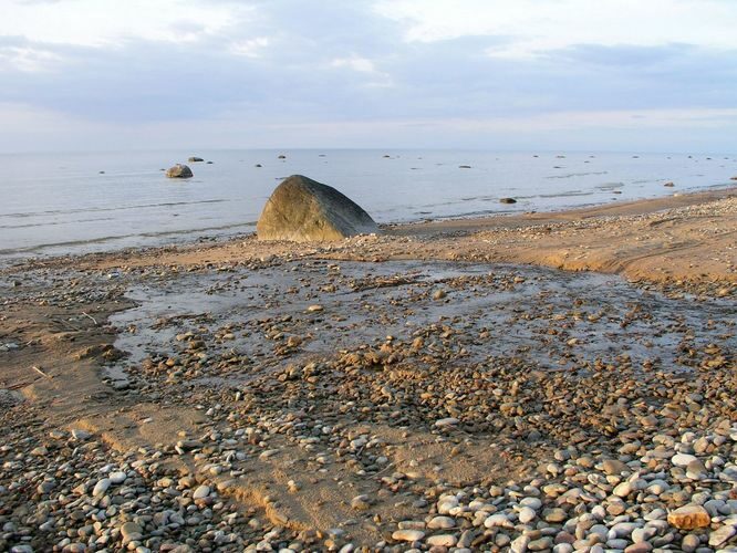 Maakond: Ida-Virumaa Veekogu nimi: nimetu oja Pildistamise aeg: 6. mai 2009 Pildistaja: H. Timm Pildistamise koht: Jabara küla Asimuut: