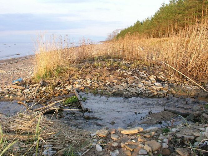 Maakond: Ida-Virumaa Veekogu nimi: nimetu oja Pildistamise aeg: 6. mai 2009 Pildistaja: H. Timm Pildistamise koht: Jabara küla Asimuut: