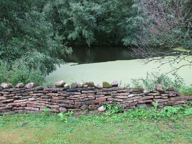 Maakond: Lääne-Virumaa Veekogu nimi: tiik Palmse pargis Pildistamise aeg: 26. august 2014 Pildistaja: H. Timm Pildistamise koht: teadmata Asimuut:Maakond: Lääne-Virumaa Veekogu nimi: tiik Palmse pargis Pildistamise aeg: 26. august 2014 Pildistaja: H. Timm Pildistamise koht: teadmata Asimuut: