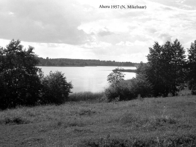 Maakond: Valgamaa Veekogu nimi: Aheru järv Pildistamise aeg: 1957 Pildistaja: N. Mikelsaar Pildistamise koht: teadmata Asimuut: