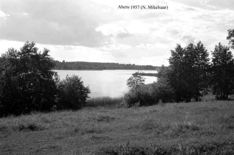 Maakond: Valgamaa Veekogu nimi: Aheru järv Pildistamise aeg: 1957 Pildistaja: N. Mikelsaar Pildistamise koht: teadmata Asimuut: