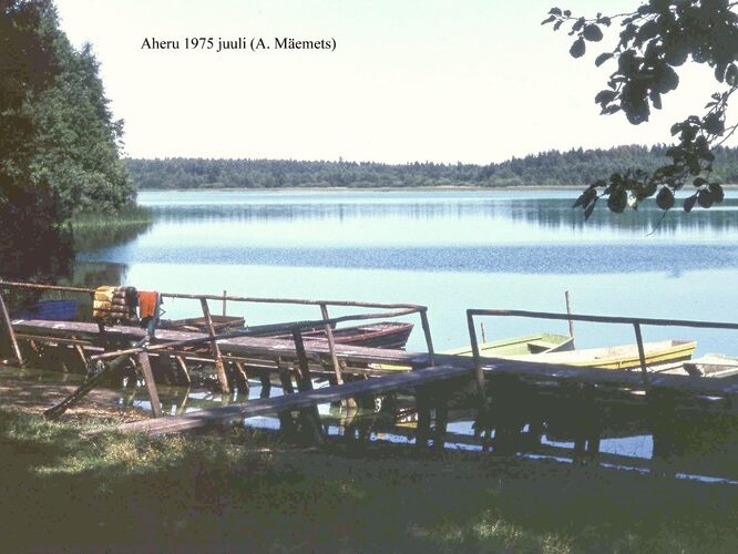 Maakond: Valgamaa Veekogu nimi: Aheru järv Pildistamise aeg: juuli 1975 Pildistaja: A. Mäemets Pildistamise koht: Oore paadisadamast SW kaldal Asimuut: NE