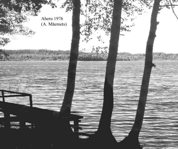 Maakond: Valgamaa Veekogu nimi: Aheru järv Pildistamise aeg: 1976 Pildistaja: A. Mäemets Pildistamise koht: Oore paadisadamast SW kaldal Asimuut: NE