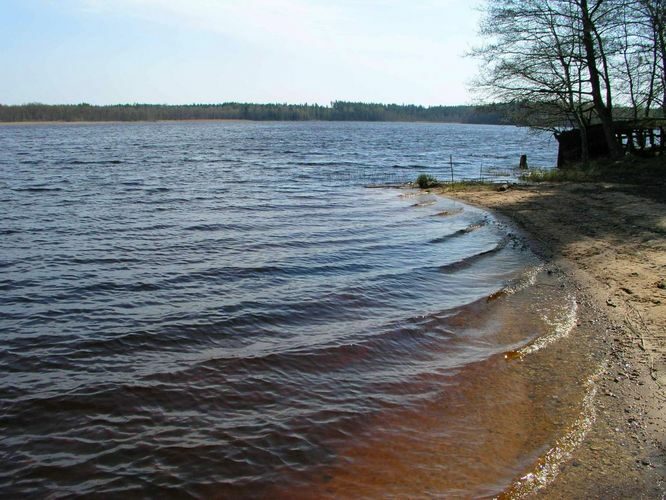 Maakond: Valgamaa Veekogu nimi: Aheru järv Pildistamise aeg: 3. mai 2004 Pildistaja: H. Timm Pildistamise koht: Oore Asimuut: