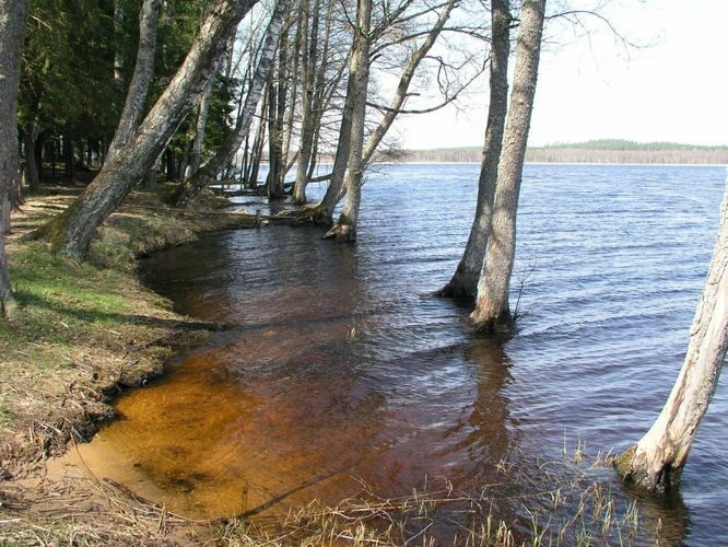 Maakond: Valgamaa Veekogu nimi: Aheru järv Pildistamise aeg: 3. mai 2004 Pildistaja: H. Timm Pildistamise koht: Oore Asimuut: