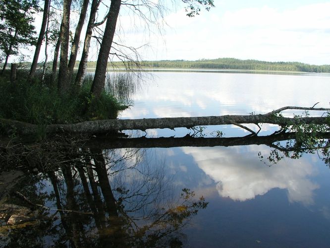 Maakond: Valgamaa Veekogu nimi: Aheru järv Pildistamise aeg: august 2006 Pildistaja: H. Timm Pildistamise koht: Oore Asimuut:
