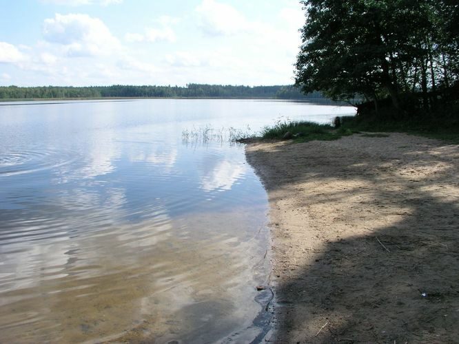 Maakond: Valgamaa Veekogu nimi: Aheru järv Pildistamise aeg: august 2006 Pildistaja: H. Timm Pildistamise koht: Oore Asimuut: