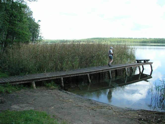 Maakond: Valgamaa Veekogu nimi: Aheru järv Pildistamise aeg: august 2006 Pildistaja: H. Timm Pildistamise koht: Oore Asimuut: