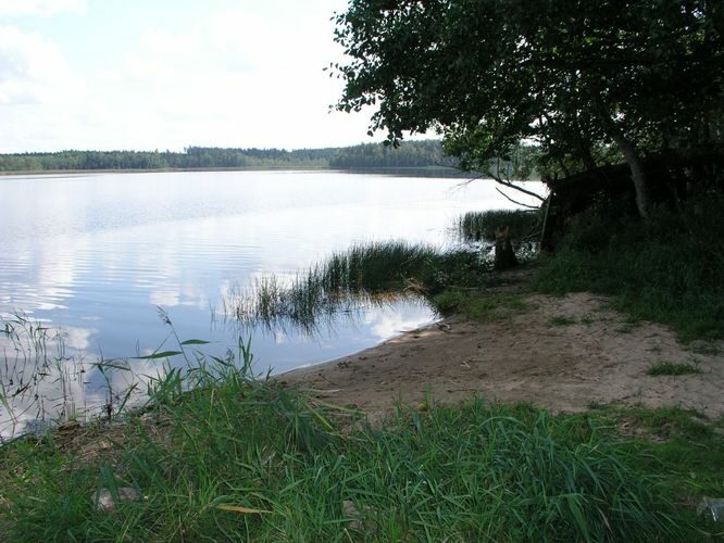 Maakond: Valgamaa Veekogu nimi: Aheru järv Pildistamise aeg: august 2006 Pildistaja: H. Timm Pildistamise koht: Oore Asimuut: